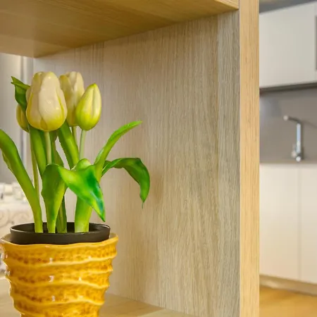 Alfieri 1 Apartamento Turín